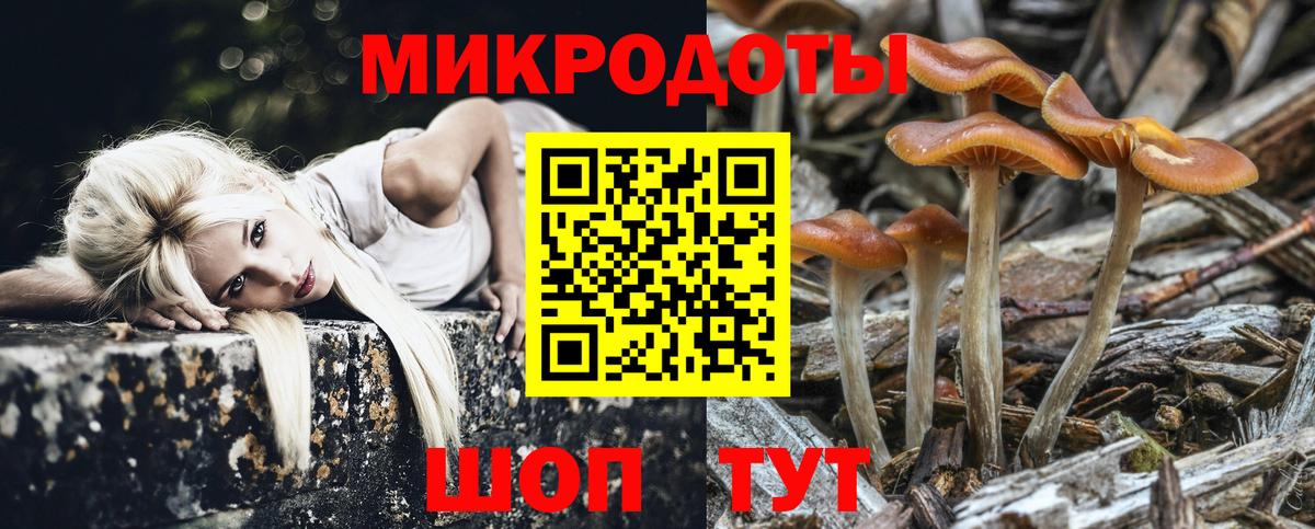 Галлюциногенные грибы Magic Shrooms  Вход с VPN  Чапаевск  Галлюциногенные грибы Psilocybine cubensis 