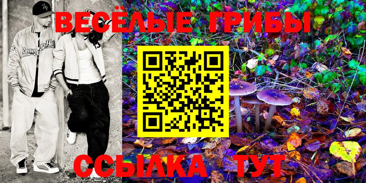Галлюциногенные грибы мухоморы Чапаевск